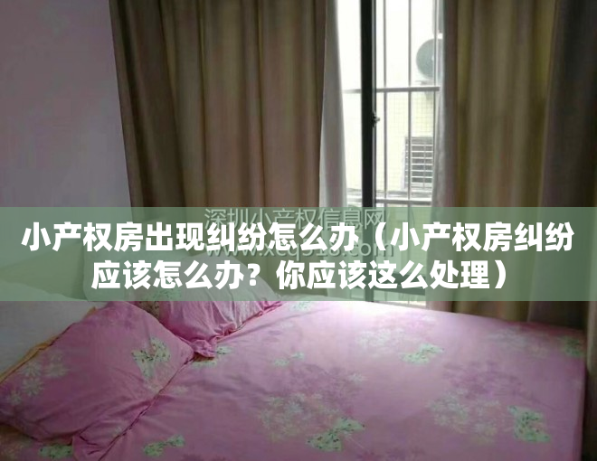 小产权房出现纠纷怎么办（小产权房纠纷应该怎么办？你应该这么处理）