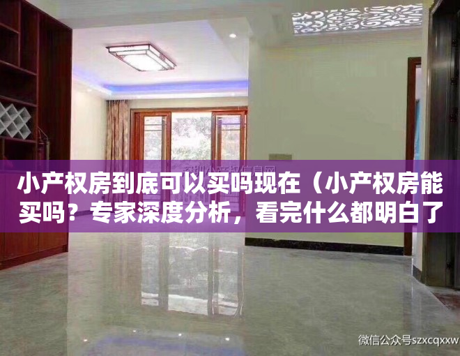 小产权房到底可以买吗现在（小产权房能买吗？专家深度分析，看完什么都明白了）