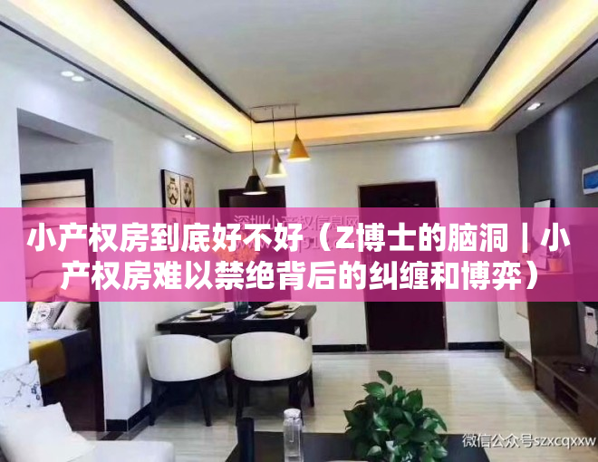 小产权房到底好不好（Z博士的脑洞｜小产权房难以禁绝背后的纠缠和博弈）