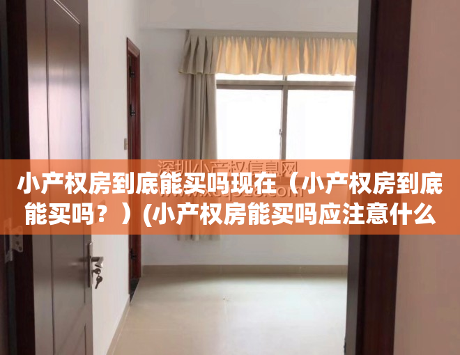 小产权房到底能买吗现在（小产权房到底能买吗？）(小产权房能买吗应注意什么)