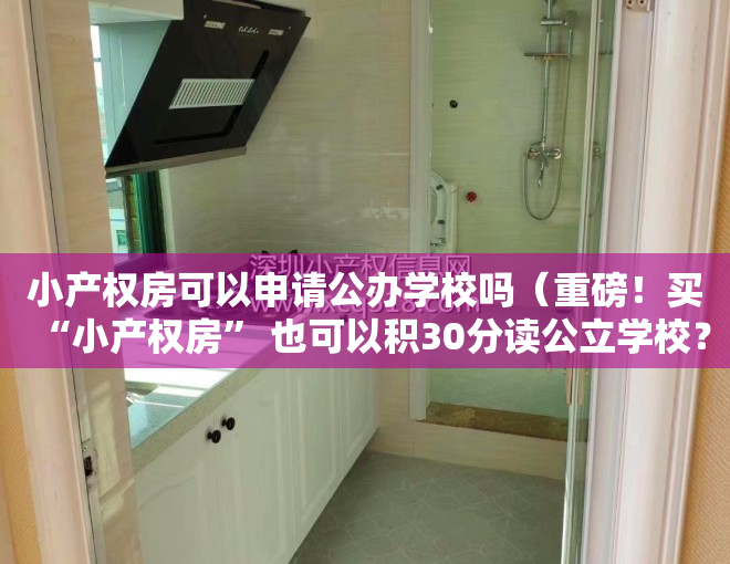 小产权房可以申请公办学校吗（重磅！买“小产权房” 也可以积30分读公立学校？积分细则全解，看完受益请分享！）