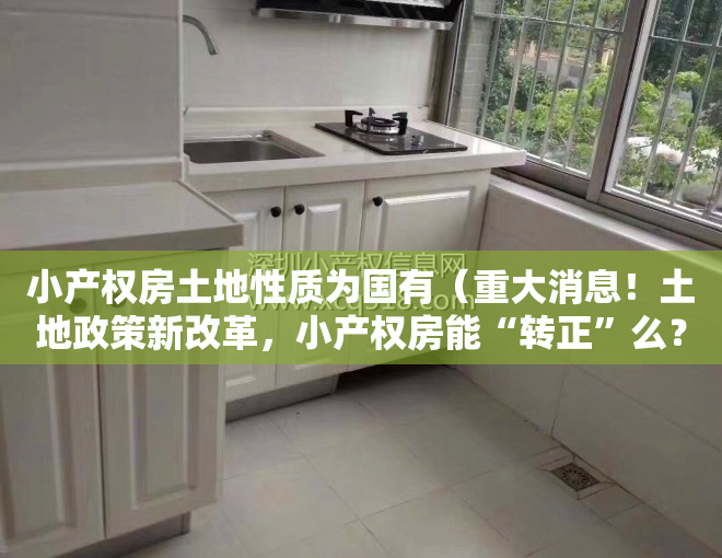 小产权房土地性质为国有（重大消息！土地政策新改革，小产权房能“转正”么？）