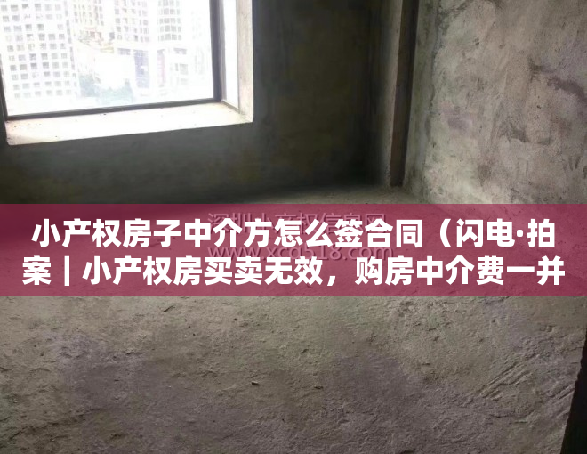 小产权房子中介方怎么签合同（闪电·拍案｜小产权房买卖无效，购房中介费一并退还）