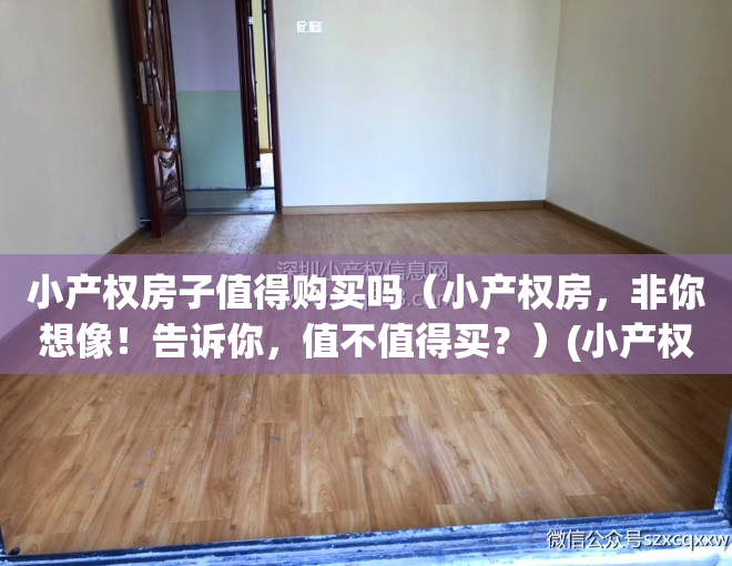 小产权房子值得购买吗（小产权房，非你想像！告诉你，值不值得买？）(小产权房适合买吗)