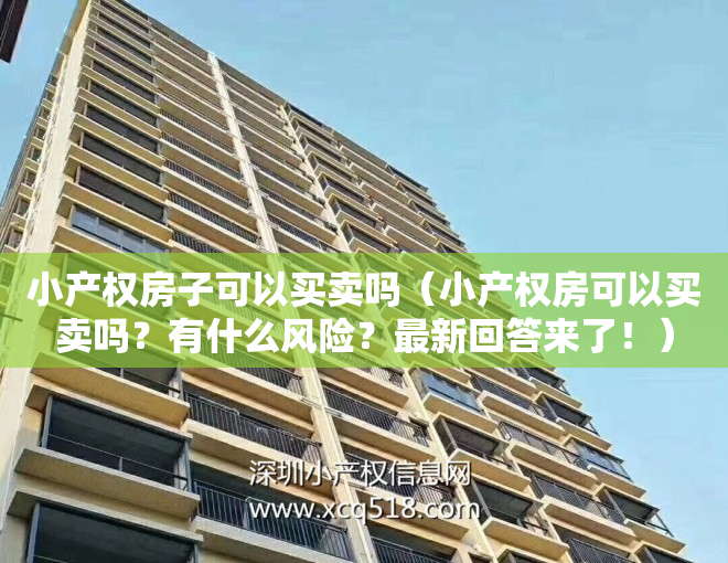 小产权房子可以买卖吗（小产权房可以买卖吗？有什么风险？最新回答来了！）