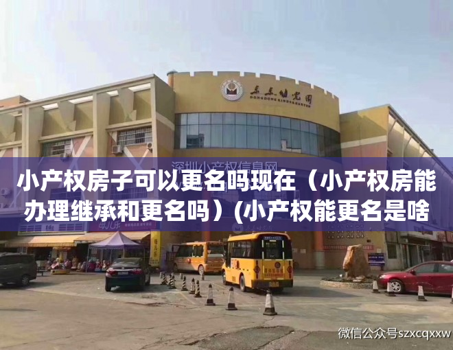 小产权房子可以更名吗现在（小产权房能办理继承和更名吗）(小产权能更名是啥意思)