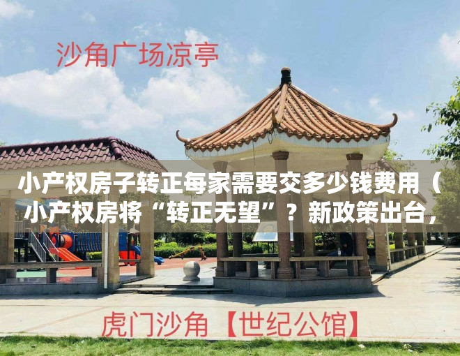 小产权房子转正每家需要交多少钱费用（小产权房将“转正无望”？新政策出台，释放出重要信号）