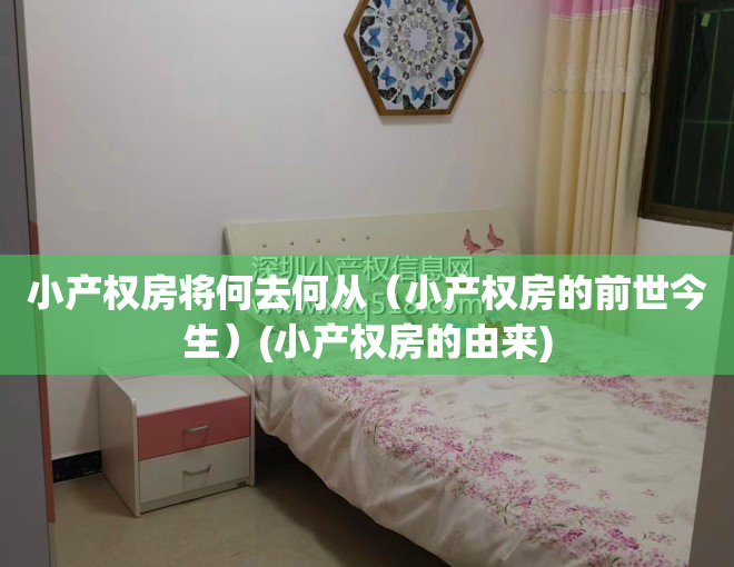 小产权房将何去何从（小产权房的前世今生）(小产权房的由来)