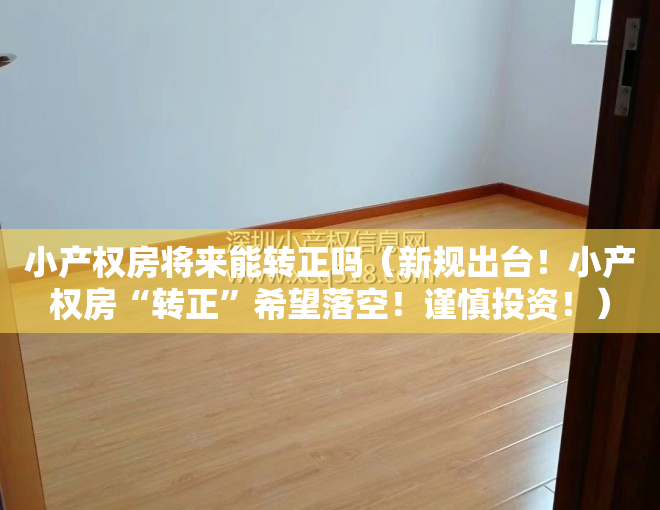 小产权房将来能转正吗（新规出台！小产权房“转正”希望落空！谨慎投资！）