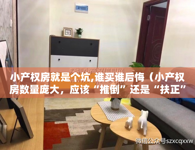 小产权房就是个坑,谁买谁后悔（小产权房数量庞大，应该“推倒”还是“扶正”？未来或有3大出路）