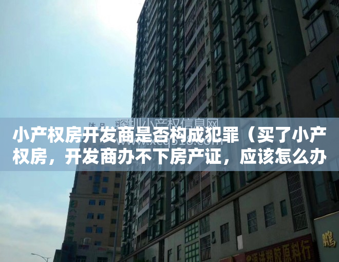 小产权房开发商是否构成犯罪（买了小产权房，开发商办不下房产证，应该怎么办？）