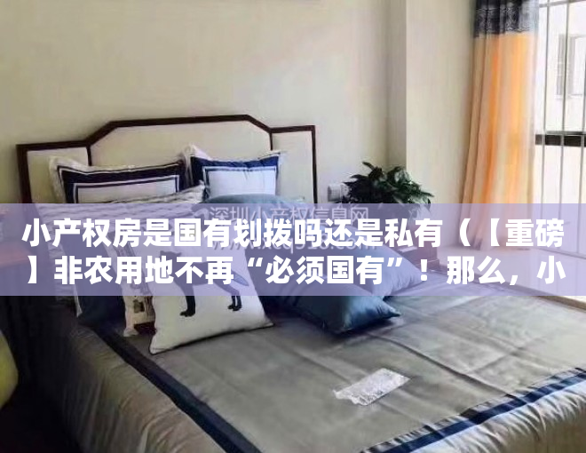 小产权房是国有划拨吗还是私有（【重磅】非农用地不再“必须国有”！那么，小产权房能转正吗？能下乡买宅基地吗？）