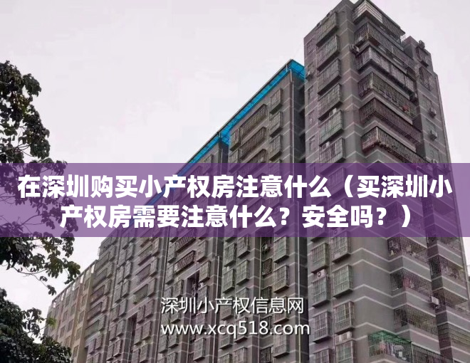 在深圳购买小产权房注意什么(买深圳小产权房需要注意什么?安全吗?)