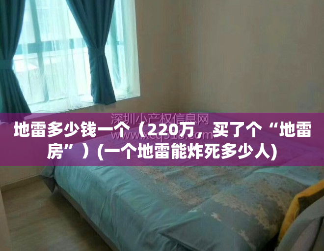 地雷多少钱一个（220万，买了个“地雷房”）(一个地雷能炸死多少人)