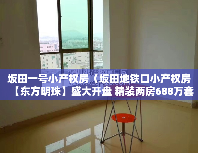 坂田一号小产权房（坂田地铁口小产权房【东方明珠】盛大开盘 精装两房688万套起）
