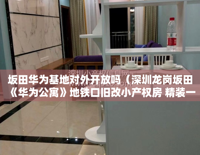 坂田华为基地对外开放吗（深圳龙岗坂田《华为公寓》地铁口旧改小产权房 精装一房总价518W起）