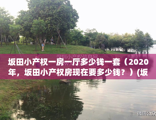 坂田小产权一房一厅多少钱一套（2020年，坂田小产权房现在要多少钱？）(坂田小产权房价一览表)