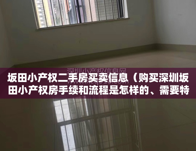 坂田小产权二手房买卖信息（购买深圳坂田小产权房手续和流程是怎样的、需要特别注意什么事项？）