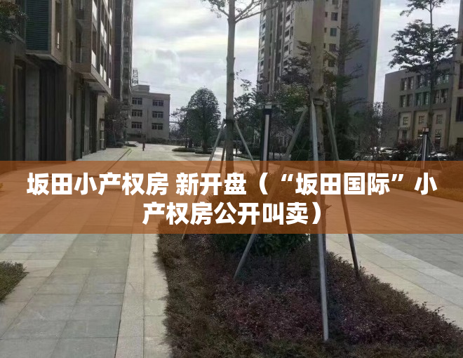 坂田小产权房 新开盘（“坂田国际”小产权房公开叫卖）