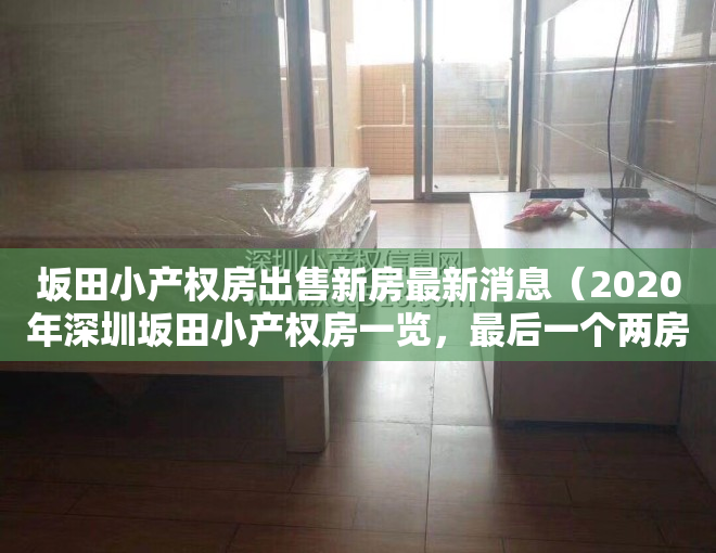 坂田小产权房出售新房最新消息（2020年深圳坂田小产权房一览，最后一个两房仅50万！）