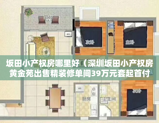 坂田小产权房哪里好（深圳坂田小产权房黄金苑出售精装修单间39万元套起首付三成）