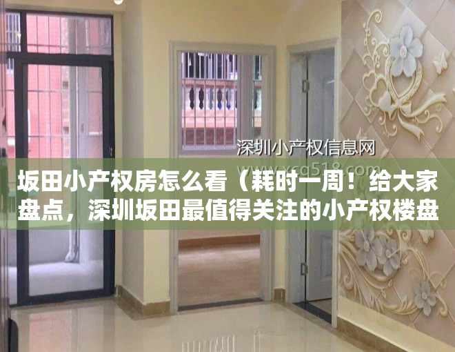 坂田小产权房怎么看（耗时一周！给大家盘点，深圳坂田最值得关注的小产权楼盘）