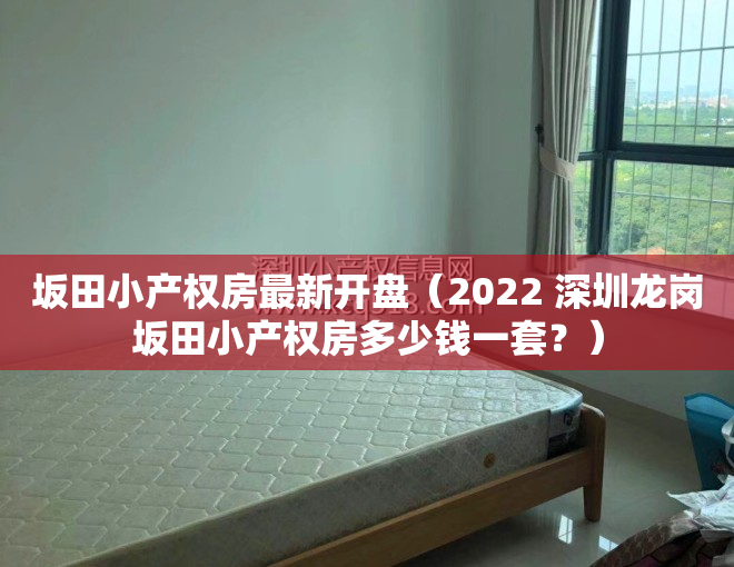坂田小产权房最新开盘（2022 深圳龙岗坂田小产权房多少钱一套？）