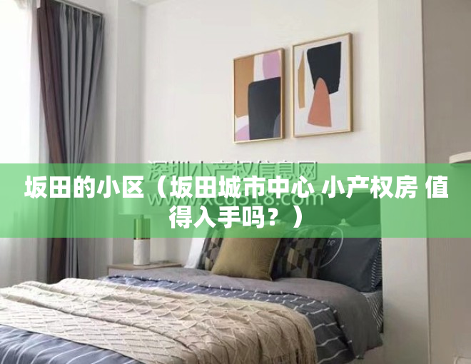 坂田的小区（坂田城市中心 小产权房 值得入手吗？）