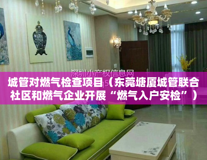 城管对燃气检查项目(东莞塘厦城管联合社区和燃气企业开展“燃气入户安检”)