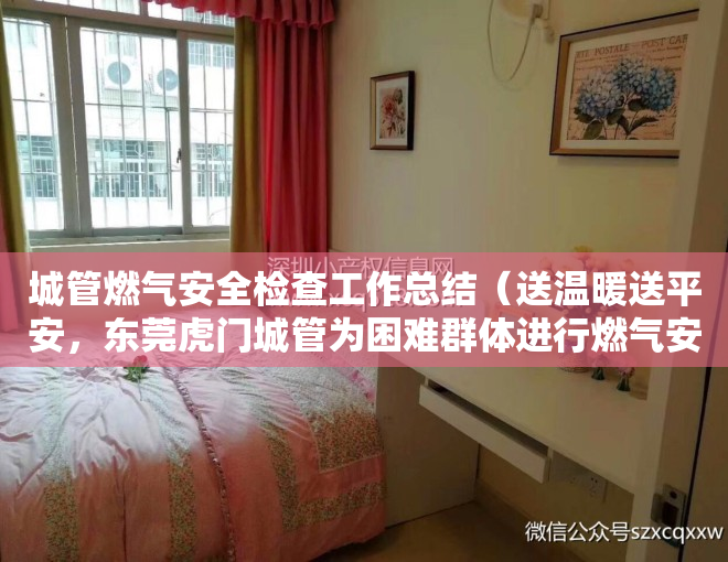 城管燃气安全检查工作总结（送温暖送平安，东莞虎门城管为困难群体进行燃气安检）