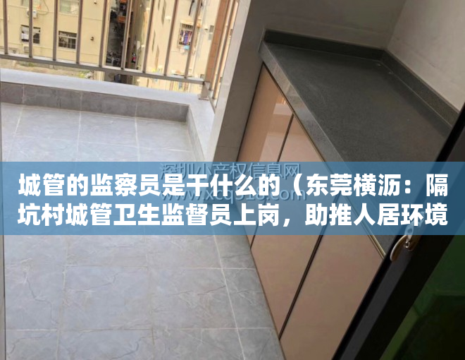 城管的监察员是干什么的（东莞横沥：隔坑村城管卫生监督员上岗，助推人居环境整治）