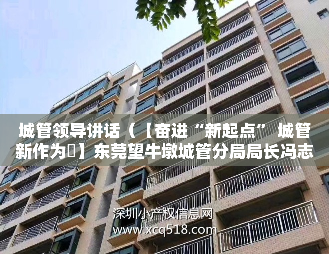 城管领导讲话（【奋进“新起点” 城管新作为㉝】东莞望牛墩城管分局局长冯志平：构建高效治理新格局，为高质量发展提供空间保障）