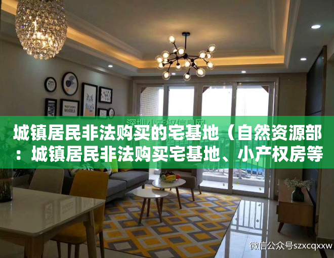 城镇居民非法购买的宅基地（自然资源部：城镇居民非法购买宅基地、小产权房等不予办理登记）