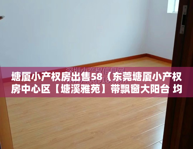 塘厦小产权房出售58（东莞塘厦小产权房中心区【塘溪雅苑】带飘窗大阳台 均价4800元）