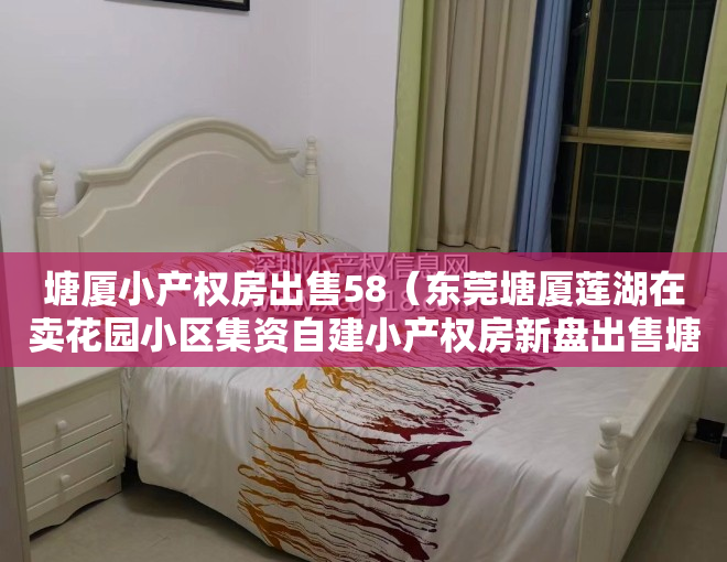 塘厦小产权房出售58(东莞塘厦莲湖在卖花园小区集资自建小产权房新盘出售塘厦天虹商场附近在卖集资自建小产权房出售现房可分期)