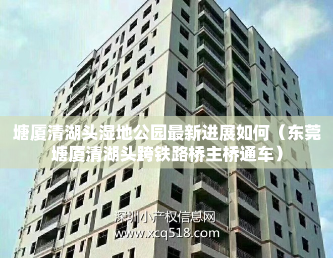 塘厦清湖头湿地公园最新进展如何（东莞塘厦清湖头跨铁路桥主桥通车）