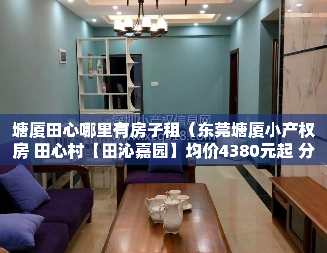 塘厦田心哪里有房子租（东莞塘厦小产权房 田心村【田沁嘉园】均价4380元起 分期3年）