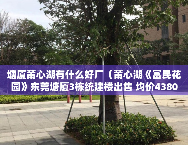 塘厦莆心湖有什么好厂（莆心湖《富民花园》东莞塘厦3栋统建楼出售 均价4380元起）