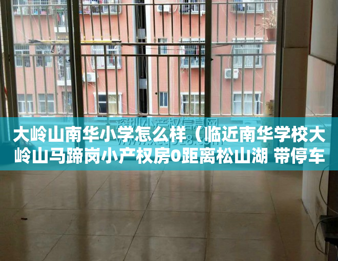 大岭山南华小学怎么样(临近南华学校大岭山马蹄岗小产权房0距离松山湖 带停车场 首付8万起)
