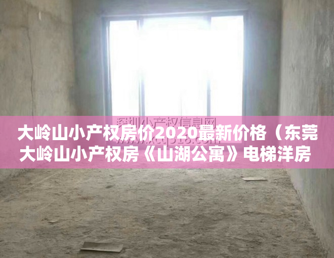 大岭山小产权房价2020最新价格(东莞大岭山小产权房《山湖公寓》电梯洋房 三房29万每套起)