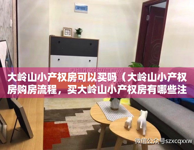 大岭山小产权房可以买吗（大岭山小产权房购房流程，买大岭山小产权房有哪些注意事项！）