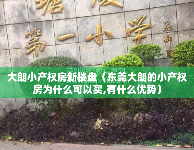 大朗小产权房新楼盘（东莞大朗的小产权房为什么可以买,有什么优势）