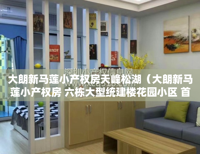 大朗新马莲小产权房天峰松湖（大朗新马莲小产权房 六栋大型统建楼花园小区 首付三成 银行分期5年）