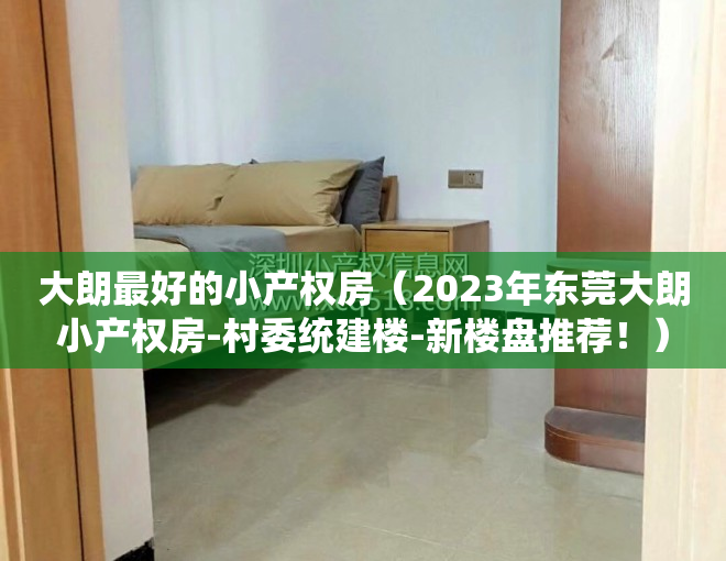 大朗最好的小产权房（2023年东莞大朗小产权房-村委统建楼-新楼盘推荐！）