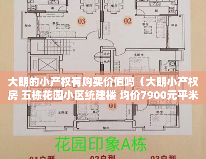 大朗的小产权有购买价值吗（大朗小产权房 五栋花园小区统建楼 均价7900元平米送装修 现房拎包即入住）