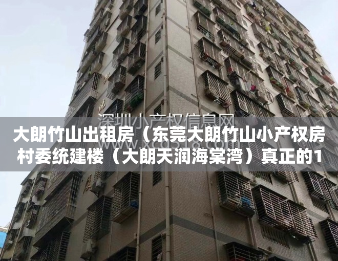 大朗竹山出租房（东莞大朗竹山小产权房村委统建楼（大朗天润海棠湾）真正的1：1车位，马路边第一排最便宜性价比最高绿本 有升值空间最近地铁口两证一书）