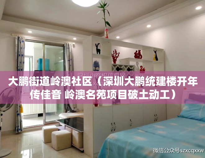大鹏街道岭澳社区（深圳大鹏统建楼开年传佳音 岭澳名苑项目破土动工）