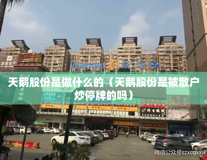 天鹅股份是做什么的（天鹅股份是被散户炒停牌的吗）