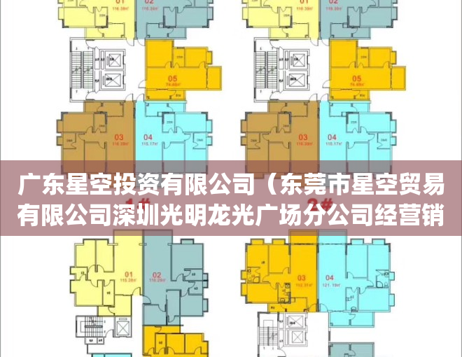 广东星空投资有限公司（东莞市星空贸易有限公司深圳光明龙光广场分公司经营销售不合格(积木)案）