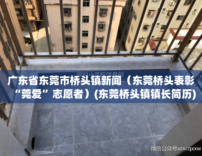 广东省东莞市桥头镇新闻（东莞桥头表彰“莞爱”志愿者）(东莞桥头镇镇长简历)
